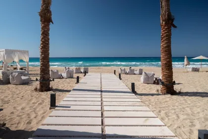 Boardwalk running between palms down to the beach