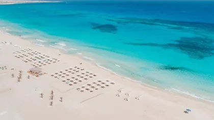 Turquoise shallows and ordered rows of beach parasols from above